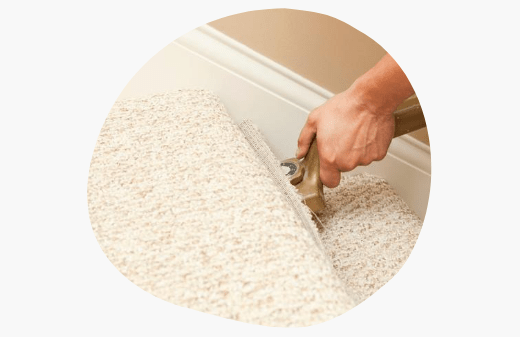 Carpet Restoration Service Elwood