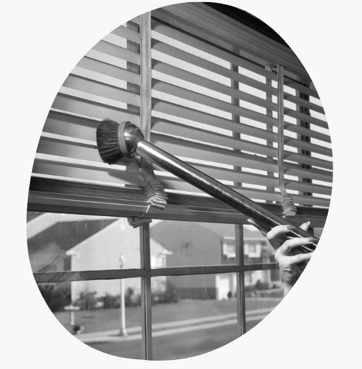 Curtains and Blinds Cleaning Elwood