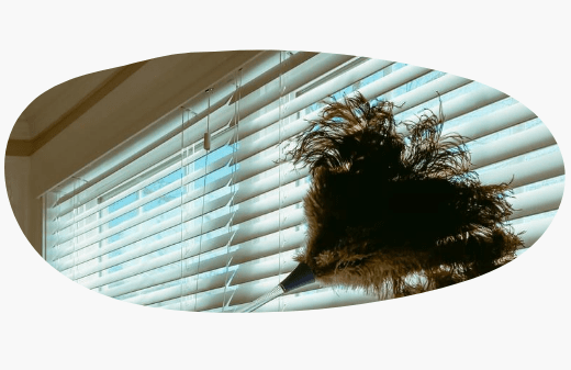 Professional Curtains and Blinds Cleaning Elwood