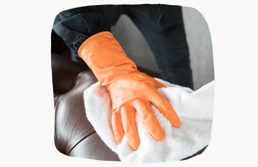 Professional Upholstery Cleaning Elwood