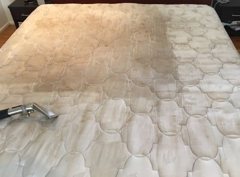 mattress cleaning services in elwood