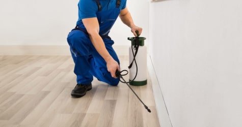 pest control services in elwood